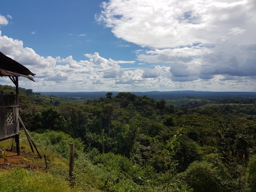 Vue sur la forêt depuis le village Hmong de Cacao